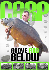 CARP : Above and Below Part 1